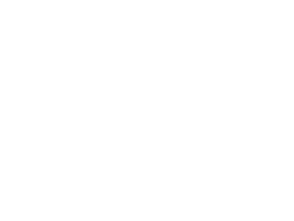 logo Groupe ACN